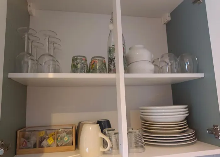 Fleurs De Printemps - Jonquille Chic * Vrécourt