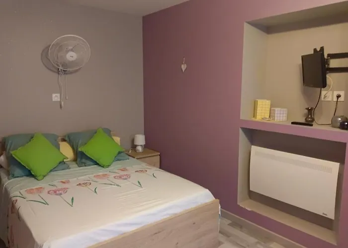 住宿加早餐酒店 Fleurs De Printemps - Jonquille Chic