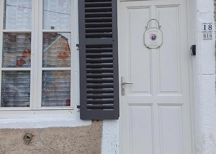 Fleurs De Printemps - Jonquille Chic Vrécourt